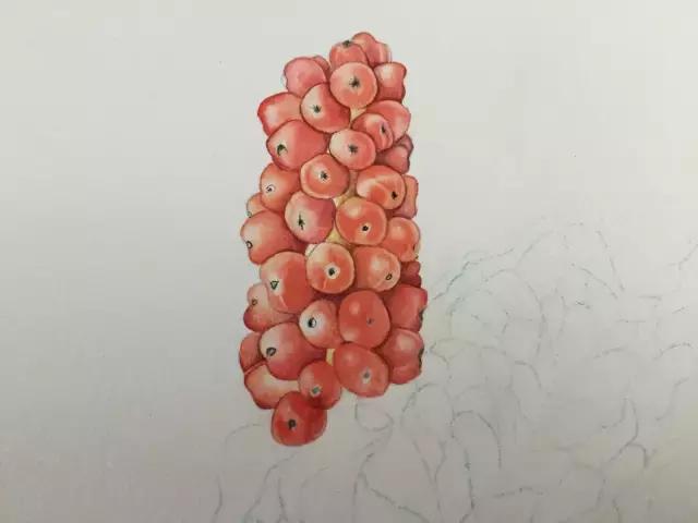 水彩密密麻麻的树叶怎么画,水彩画教程入门叶子