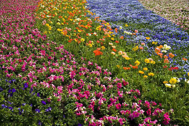 云南山歌昆明有个世博园,云南昆明世博园关闭了吗