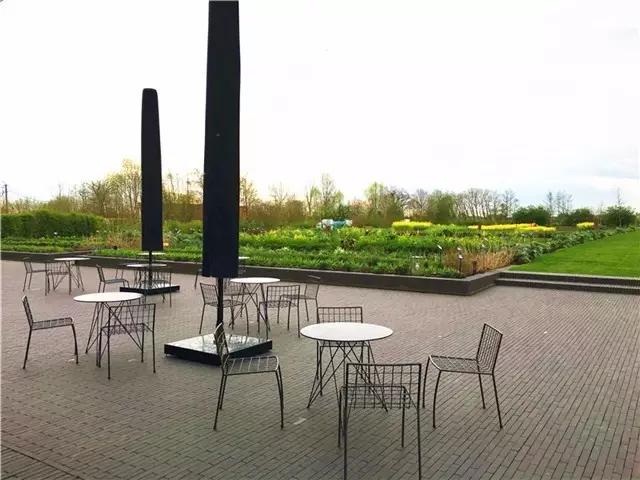 米其林餐厅三星美食试吃,米其林三星餐厅3000块能吃多少