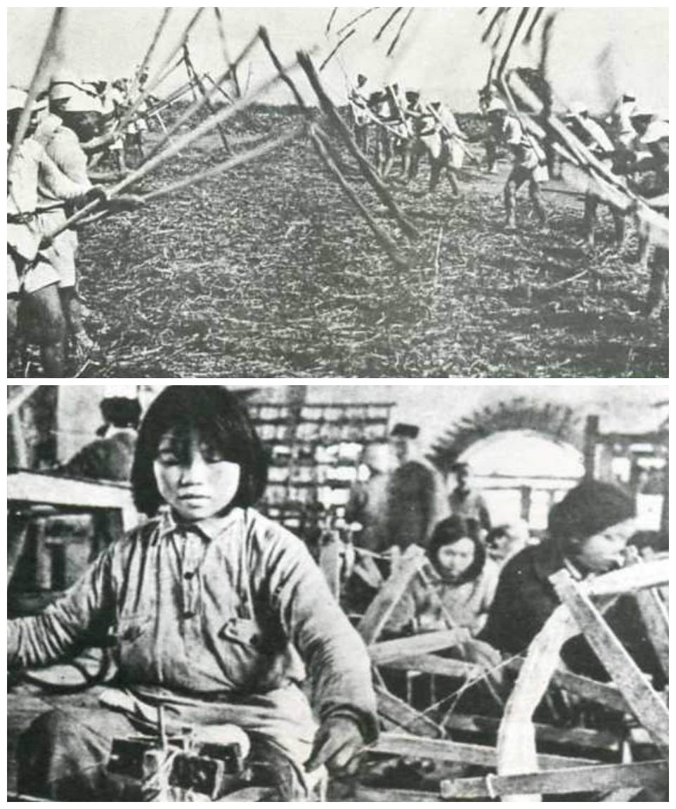 省立七中,七中历史