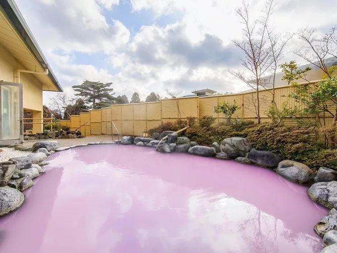 等你盛开，北海道之樱（文末也有福利在等你）