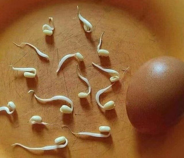 精液发黄是什么情况？