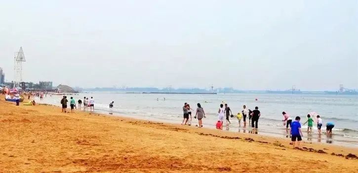 秦皇岛赶海拾贝地址免费,北海赶海挖螃蟹方法