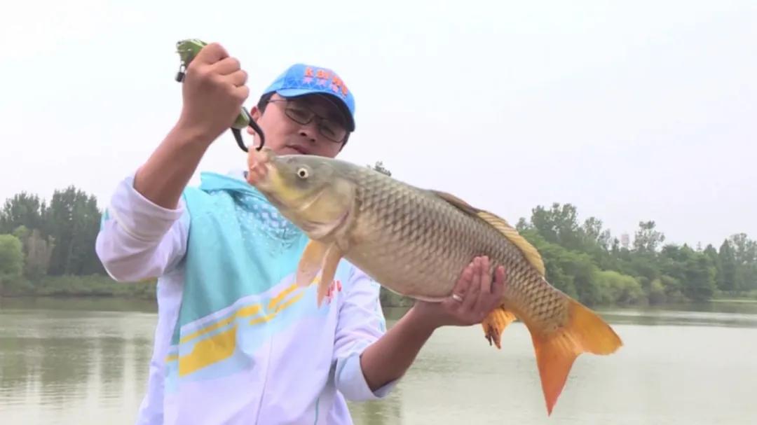 5h钓竿硬度怎样,钓竿硬度5h是什么意思