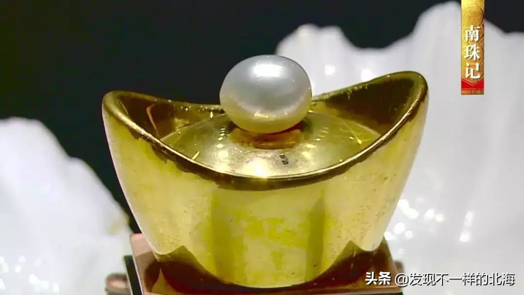 广西合浦是怎么样的?央视是这样全方位介绍这美丽的珠乡的