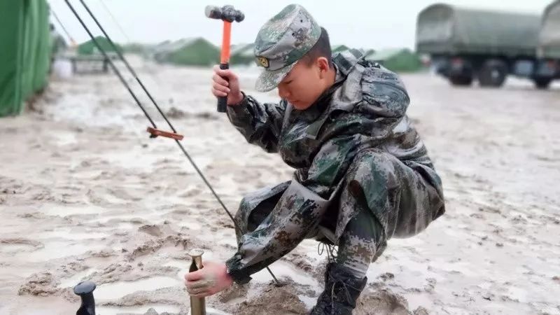 视点|看了才信!这个旅的“生命线”活力迸发