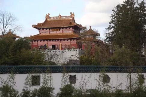 终于拍到熊猫,终于拍到了可爱的大熊猫