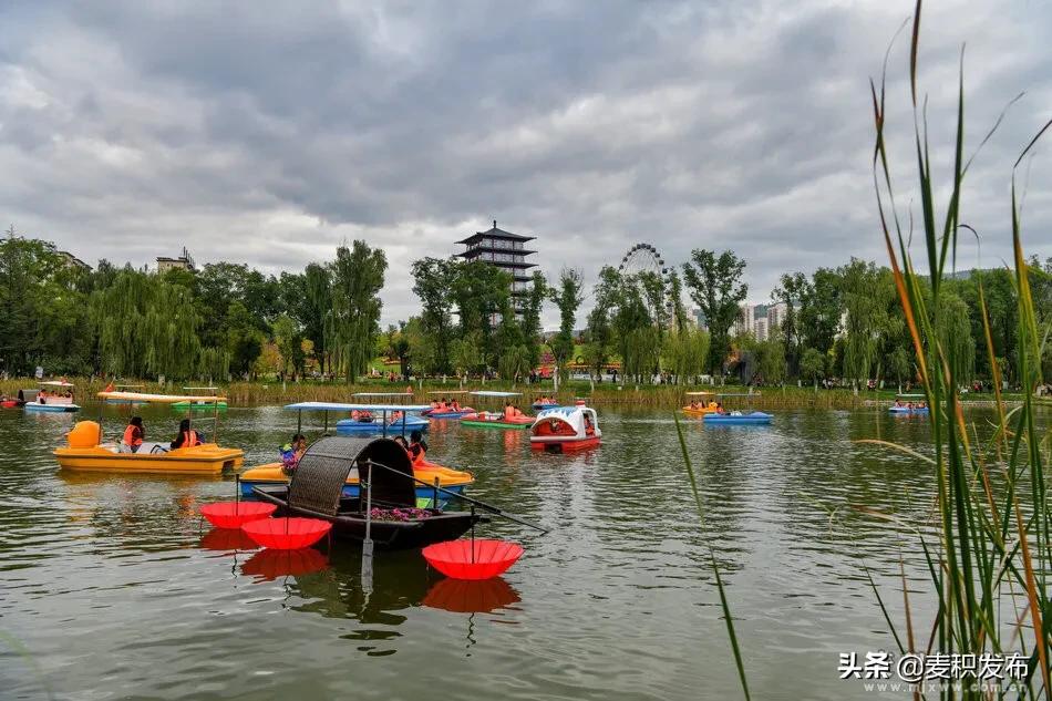 马跑泉公园有菊花展吗,庆祝菊花