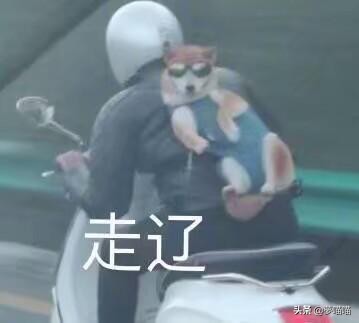 魔域手游攻略金币怎么赚,魔域新手如何买魔石