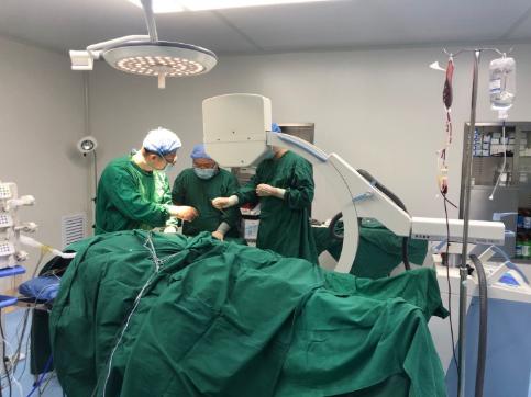 手臂离断再植,手臂断离再植