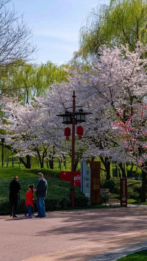 西安的夏天是什么颜色的,西安的春天有多美