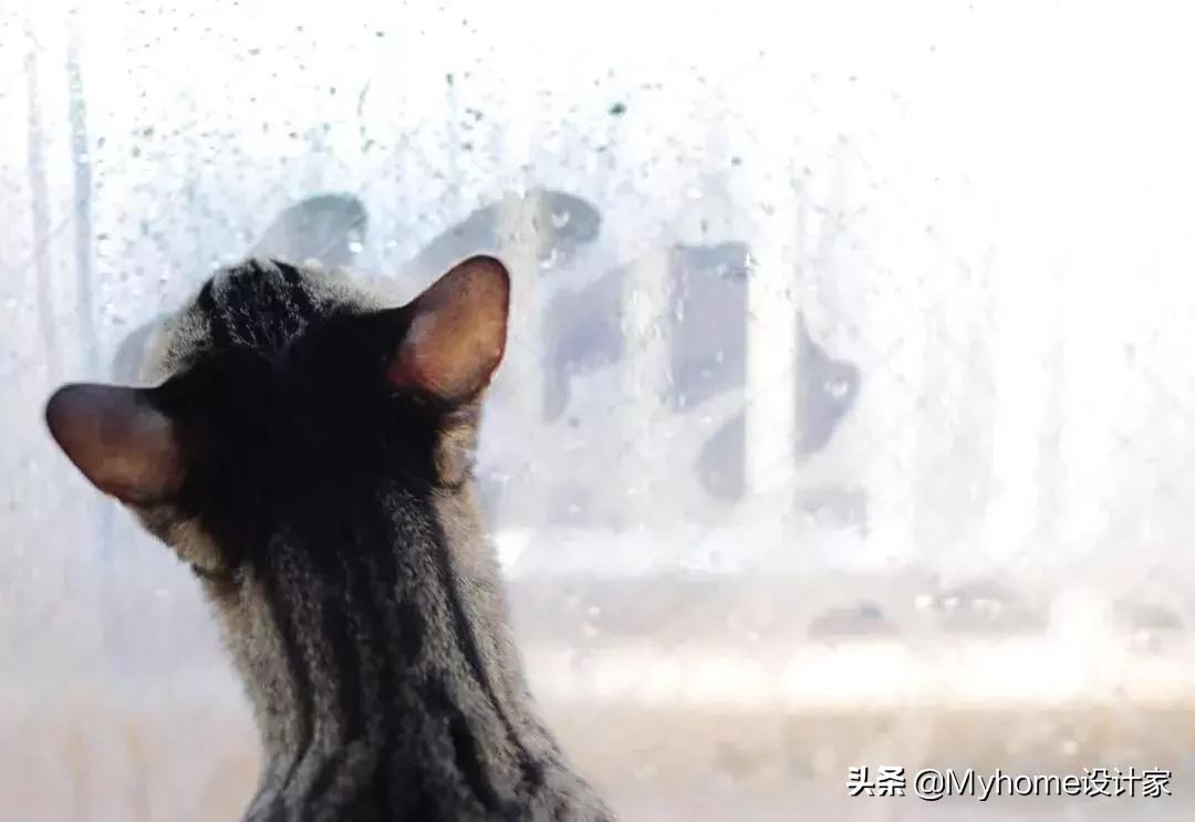 潮湿天气鞋柜怎么防潮,梅雨防潮鞋柜