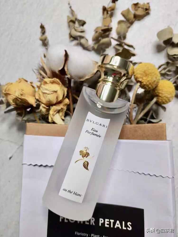 女生第一瓶香水推荐,女生第一个香水怎么选