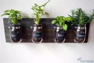 瓶子居然可以这么用，好后悔扔了那么多！