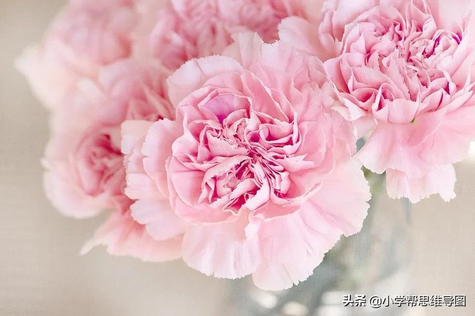 如何写作文推荐一本书范文,我最喜欢的一本书写作指导