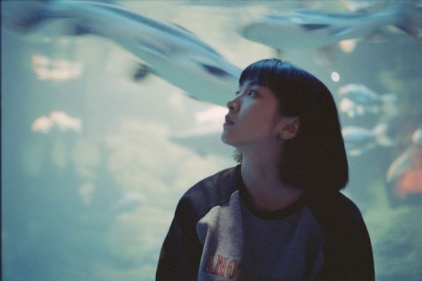 新手玩胶片机,怎么选择胶片机