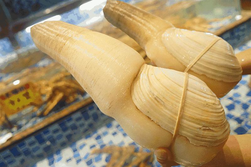 广州吃蚝必选之地,蚝九门海鲜自助象拔蚌