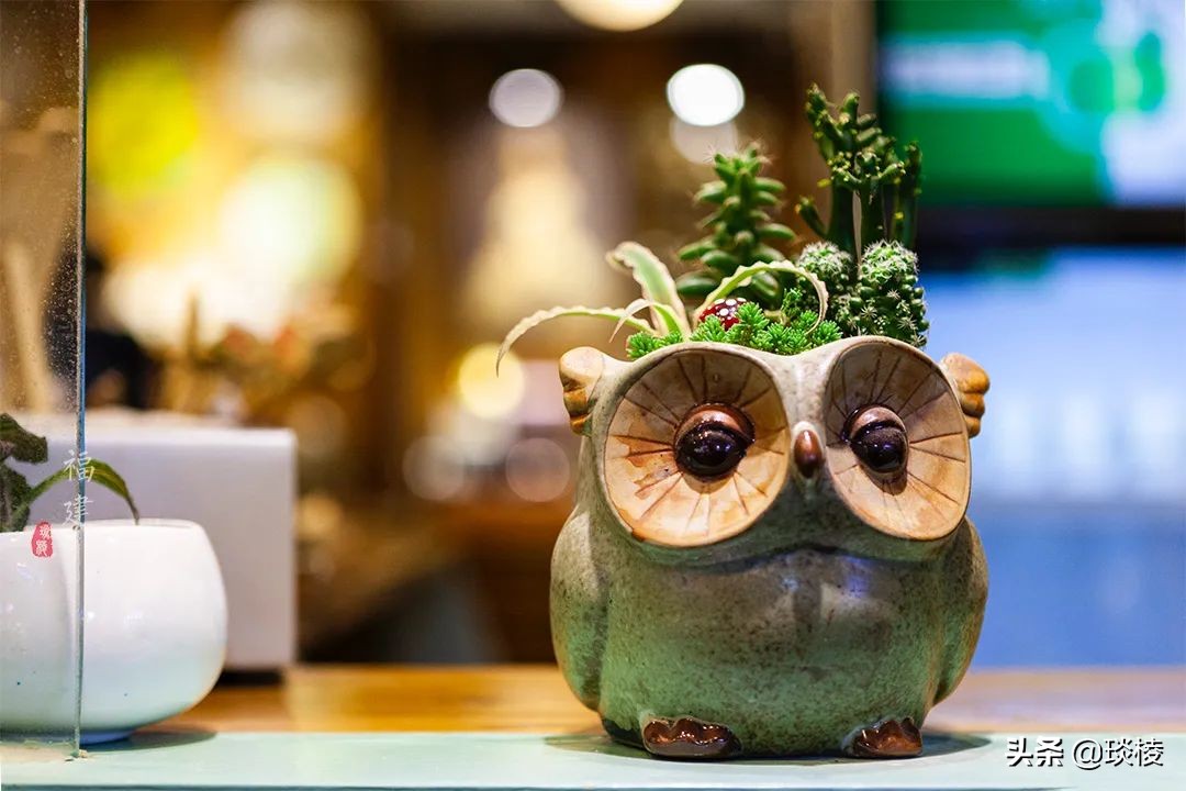 一个贫困渔村的华丽蜕变,一个小渔村成为国际大都市