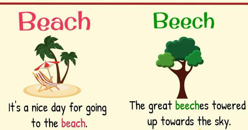 英语词汇高频近义词辨析,英语同音同形异义词概念