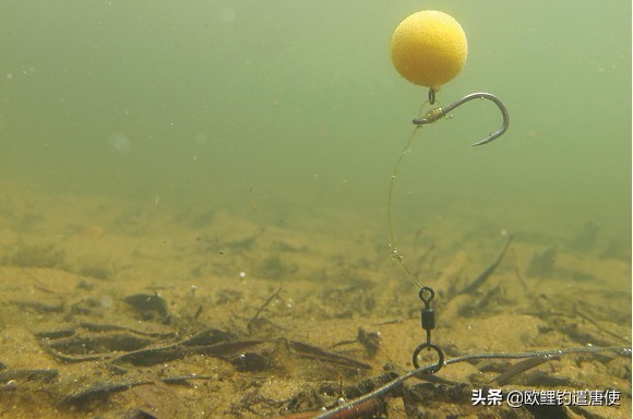 欧鲤钓钓组篇,欧鲤钓组和飞德钓组