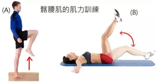 练腹部髂腰肌疼痛怎么恢复,髂腰肌训练时腹股沟疼痛是为什么