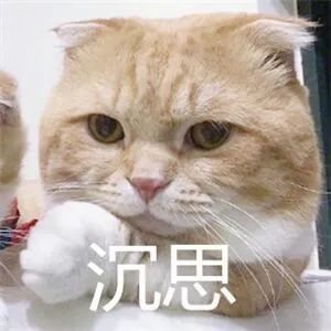 猫屎猫尿这么臭怎么办,猫在猫砂盆里大便臭吗