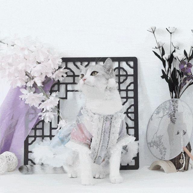 淘宝造物节10天,淘宝卖家全民疯抢