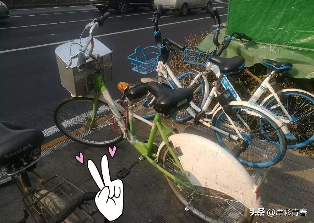 共享单车变身“混血儿”？！网友：介得装仨APP才能扫得开吧……