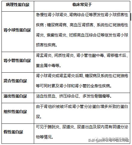 尿液检查白细胞和尿蛋白一样吗,尿蛋白定量检查的临床意义是什么