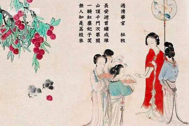 解读“回眸一笑百媚生,六宫粉黛无颜色”的古代美女——杨玉环