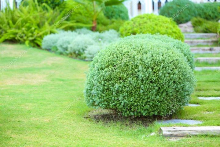 人类是真的经过设计的吗,大胆的推测