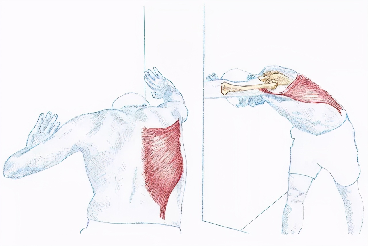 游泳减肥的方法和技巧,怎么游泳燃脂效率最高