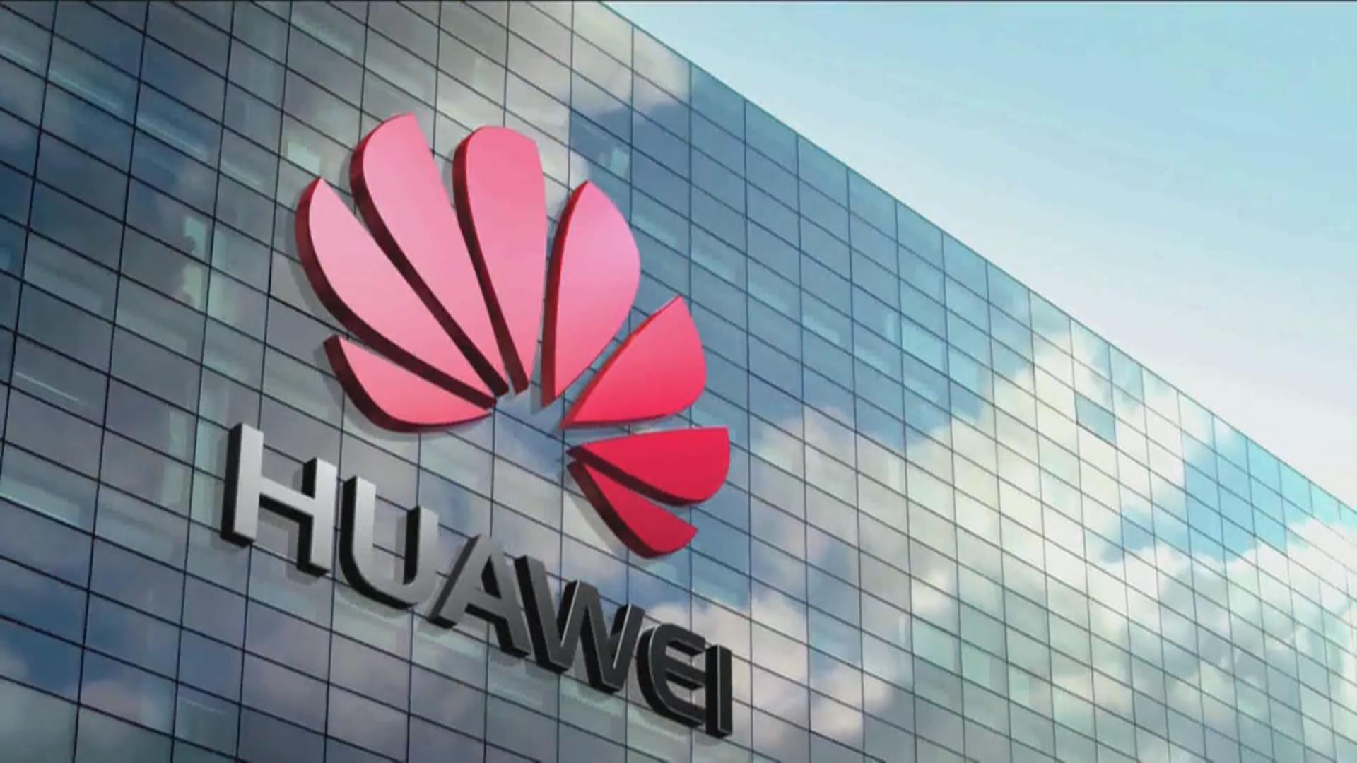 扫地僧出山纪录片,扫地僧出山原版