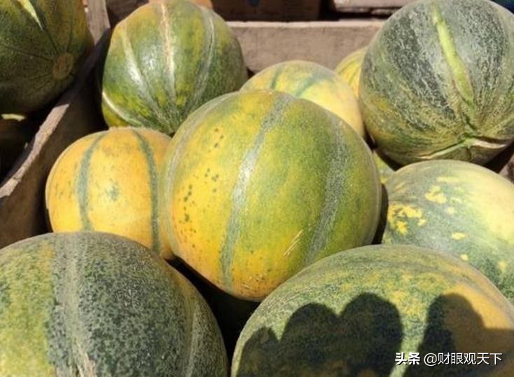 不能错过的*疆新**水果（一）