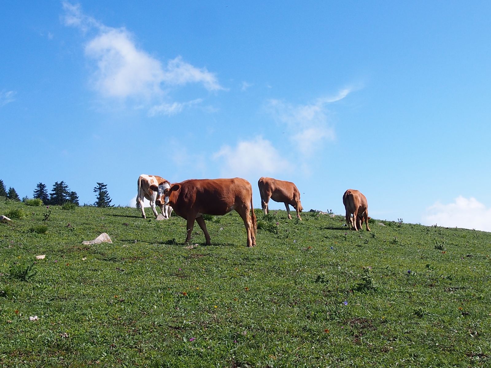 山西风景区有哪些好玩的景点推荐,山西哪里值得旅游景点推荐