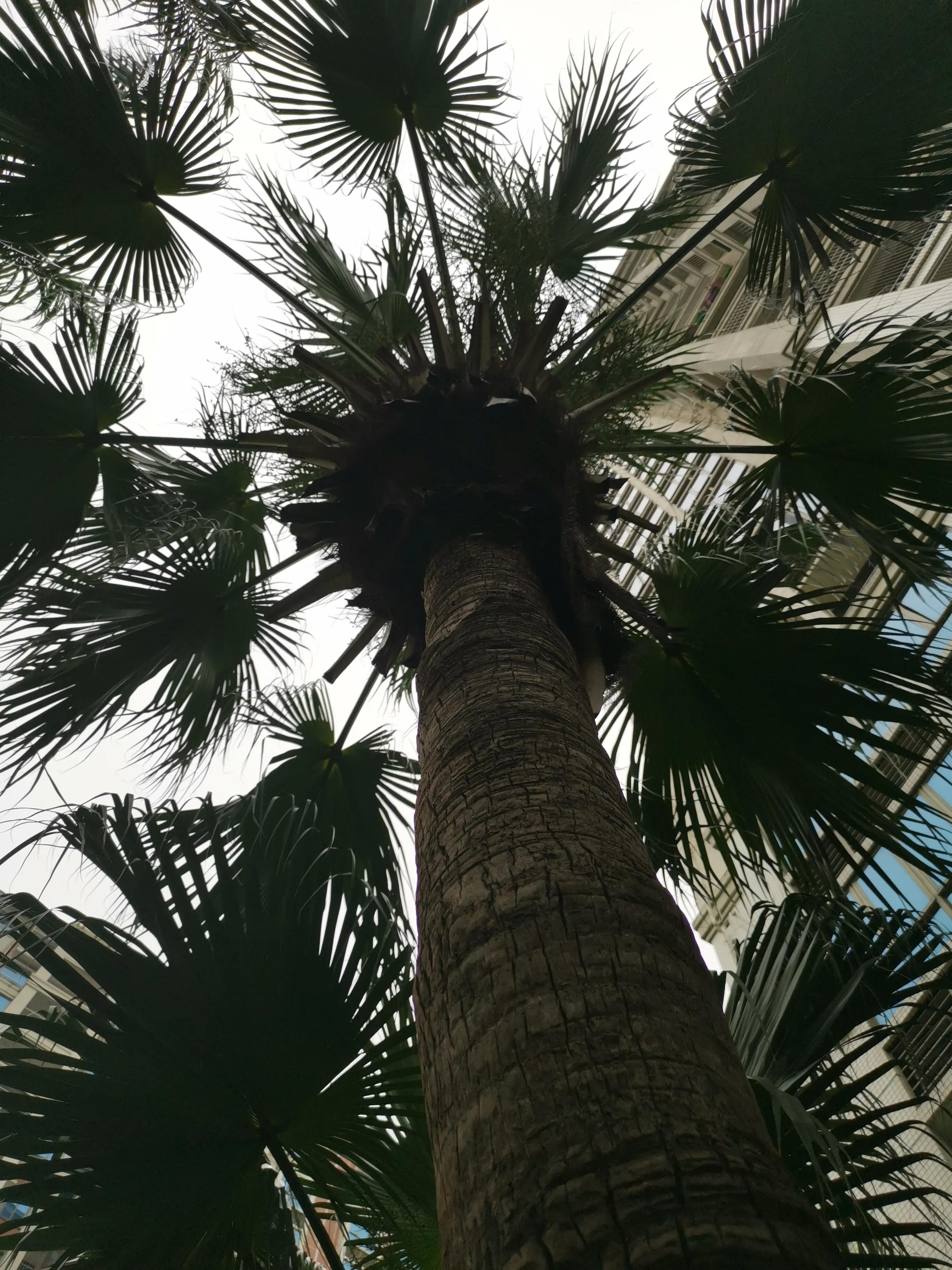 家乡诡异传说,家乡神话故事