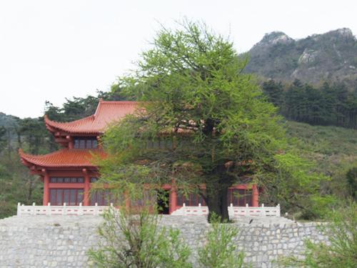 湖北省广水市应山三潭风景区简介,湖北广水三潭风景区免费吗