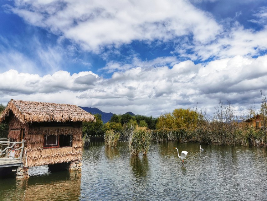 最美的季节遇见最美的你 (最美的季节遇见最美的你散文)