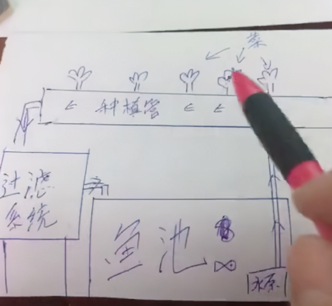 水管种花种菜,利用水管种花种菜