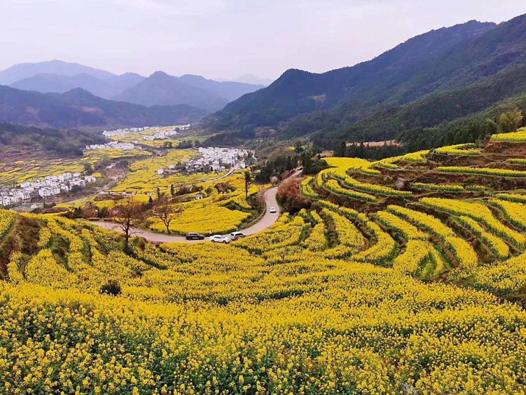 疫情防控取得阶段性胜利有序恢复,疫情胜利在望