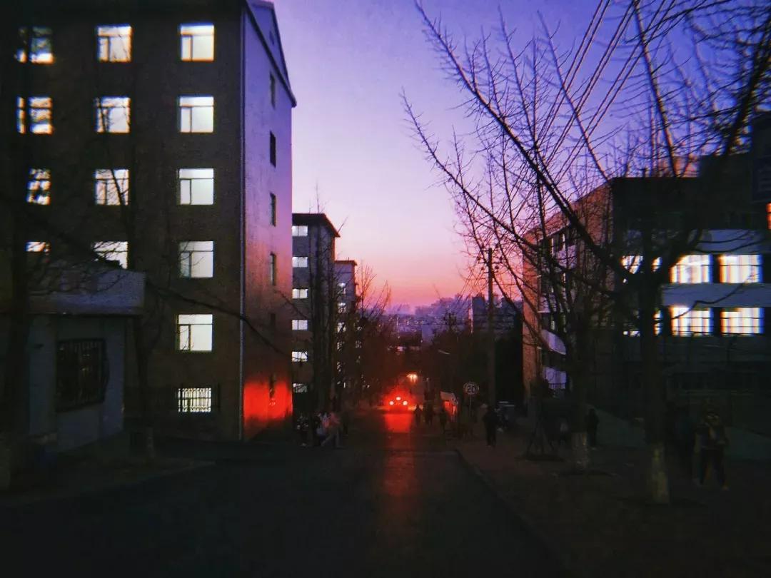 辽宁师范大学辽宁省一流课程,辽宁省普通高等院校