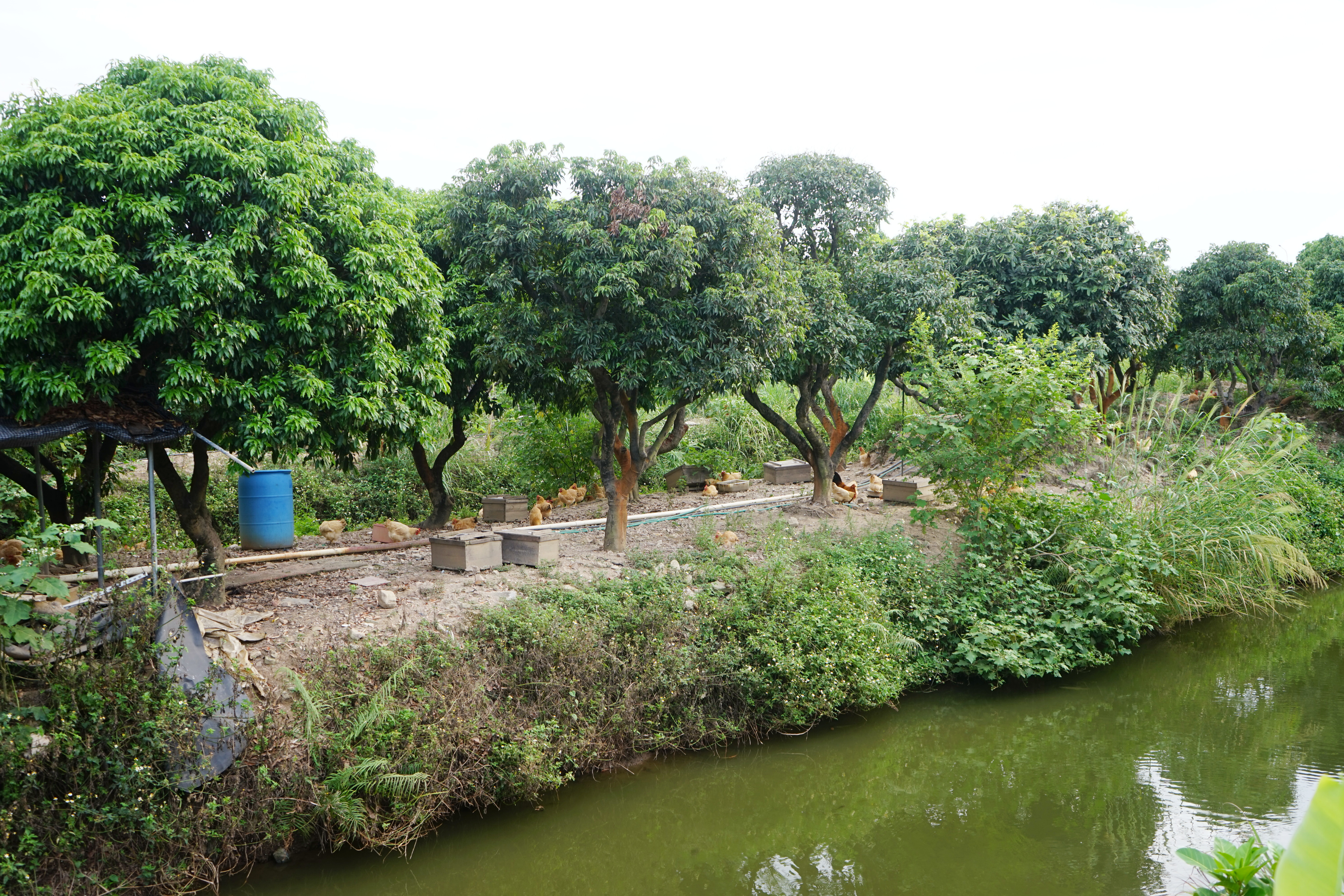 广东十大亲子农场,陈村亲子农场推荐