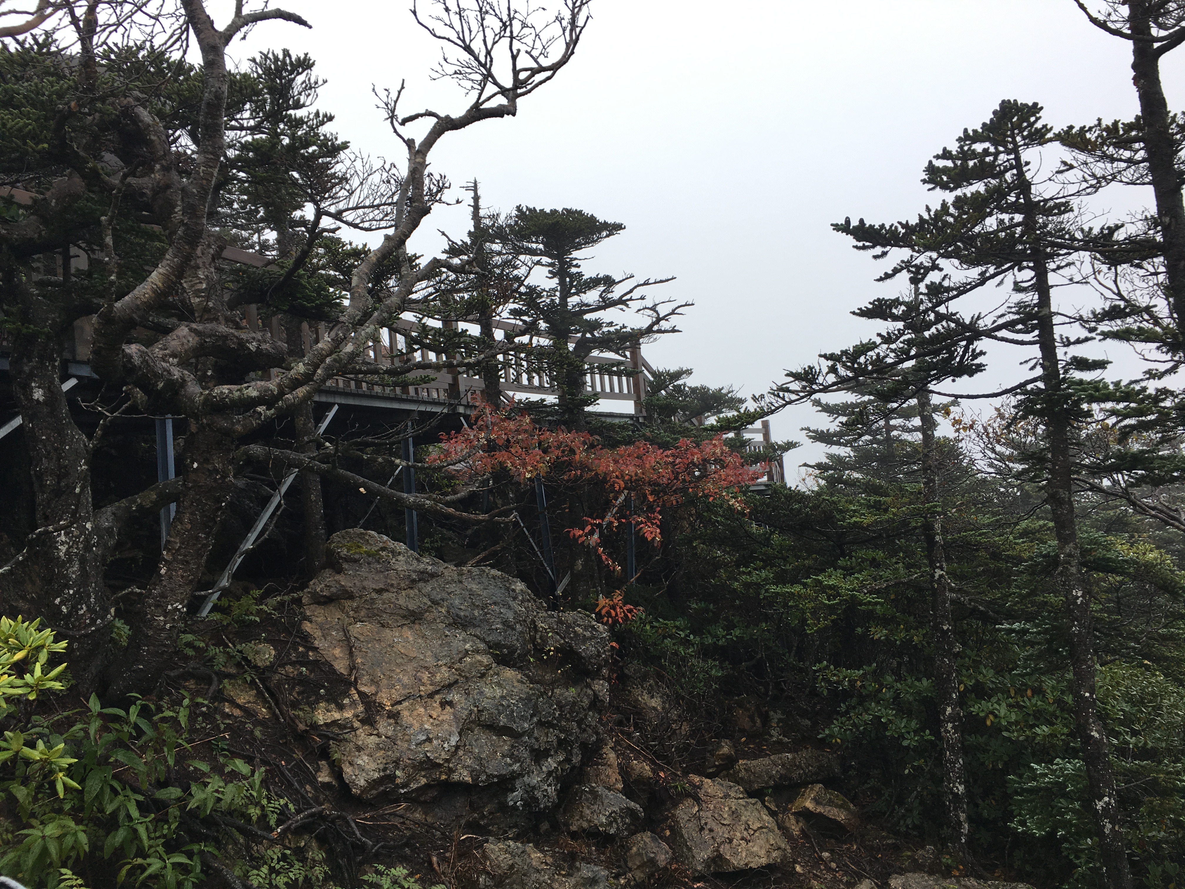 雨中神农架探秘之旅｜国庆节武汉至神农架自驾游攻略分享
