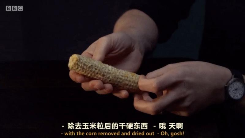 厕纸架创意,厕纸架创意搞笑