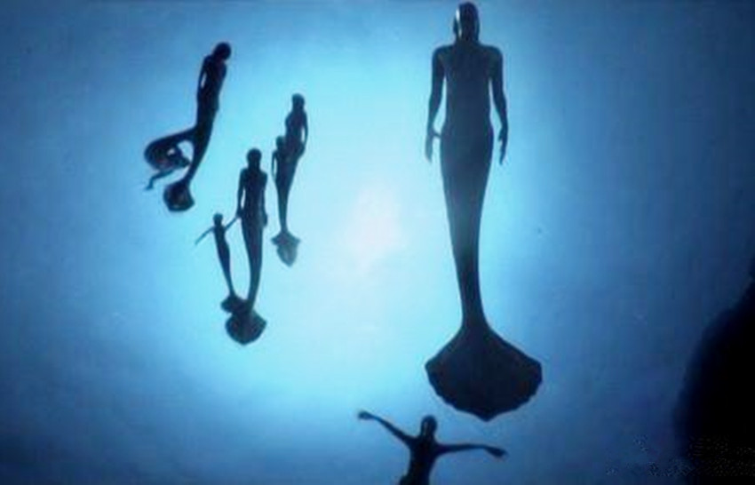 广西渔民误捕棘皮海星,广西渔民误捕鲛人图案