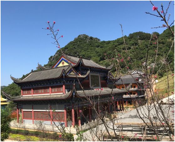 翁源东华地窖酒,韶关翁源赏荞麦花