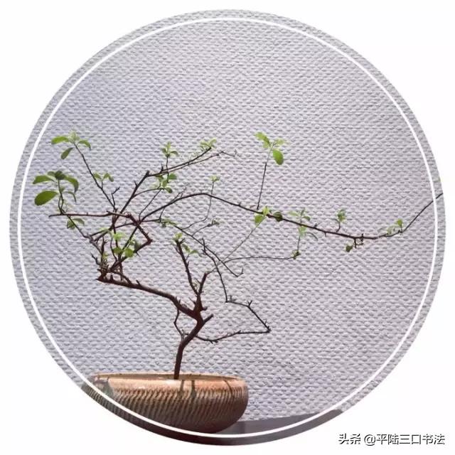 100个最有文化内涵的汉字,50个最美汉字50种文化含义