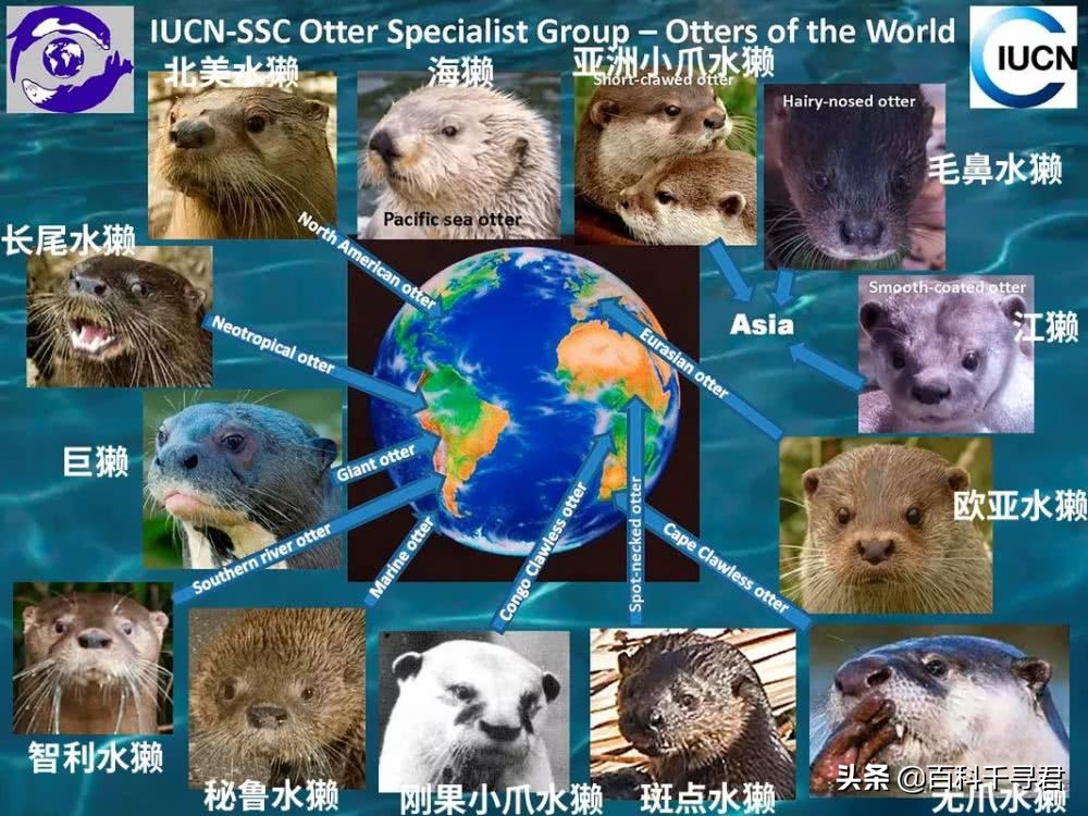 五月的最后一天是星期几,五月的第三个星期天是什么节日