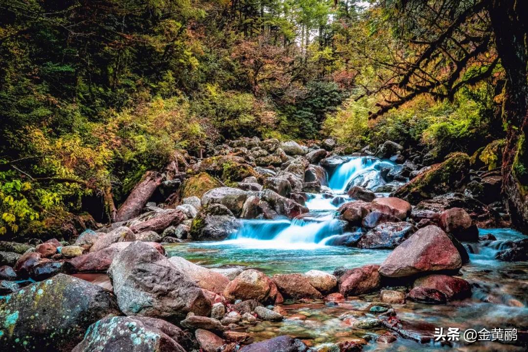 为什么云南女人长相好看,云南真的很漂亮吗