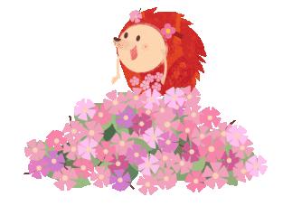 英孚教育做老师,英孚外教